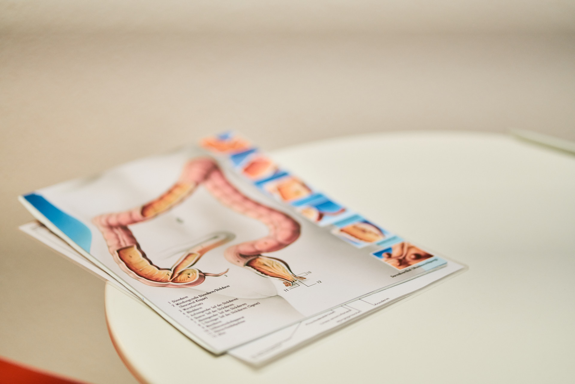 Detaillierte medizinische Illustration eines menschlichen Darms, die die Anatomie und Funktion des Verdauungstrakts zeigt, ideal für medizinische Fachinformationen und Patientenaufklärung.